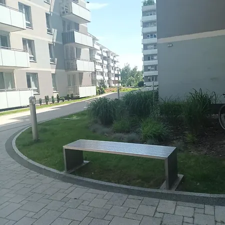 Happy ジェシュフ